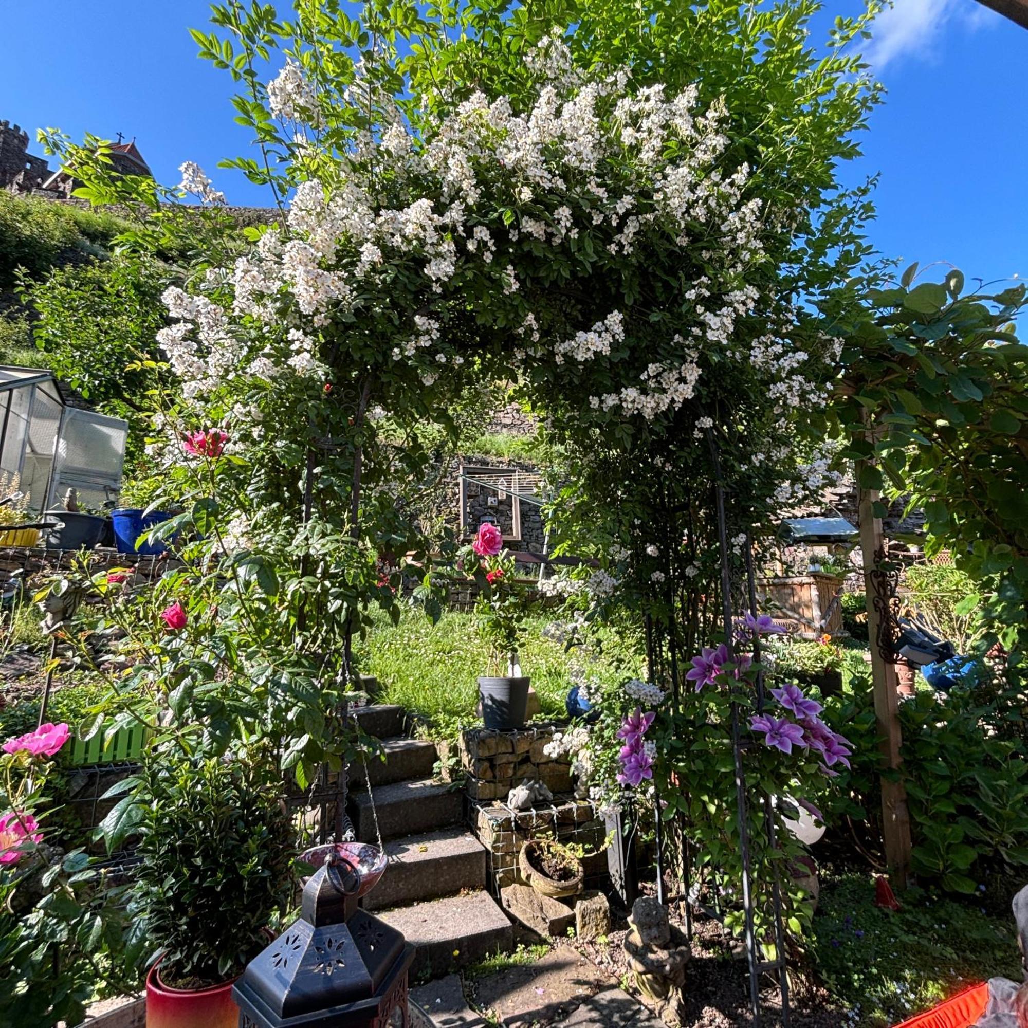 Ferienwohnung Im Morgenbachtal Trechtingshausen Exterior photo