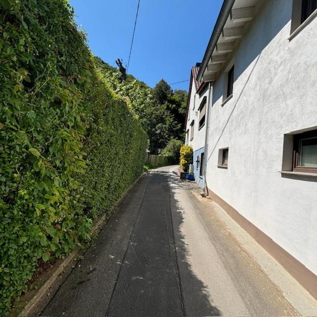 Ferienwohnung Im Morgenbachtal Trechtingshausen Exterior photo